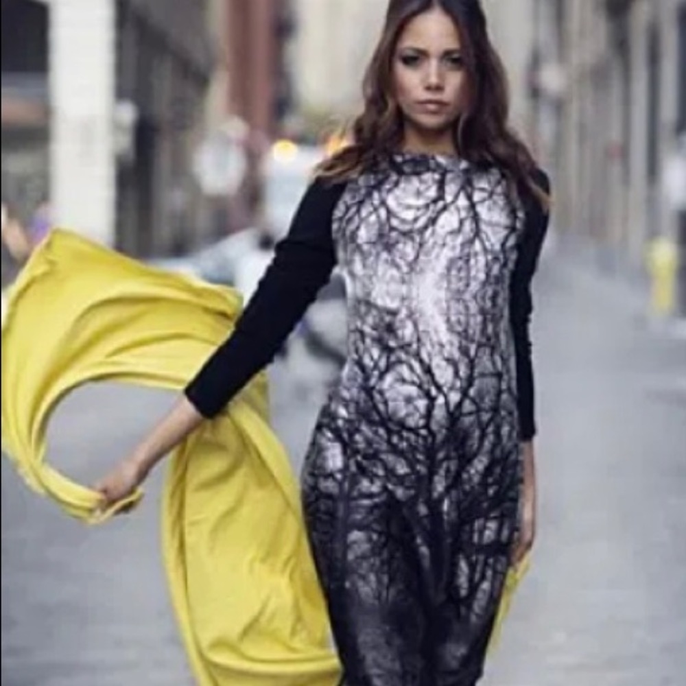 Silk dress with combo knit sleeve.